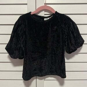 Zara 3/4 velvet top
